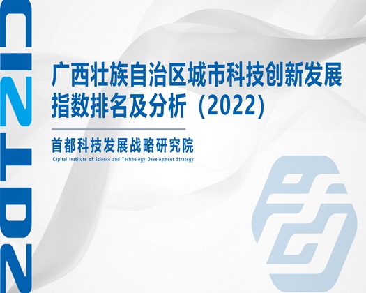 插入极品朋友妻【成果发布】广西壮族自治区城市科技创新发展指数排名及分析（2022）